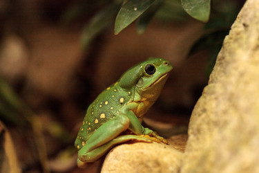 Similar image 20117842