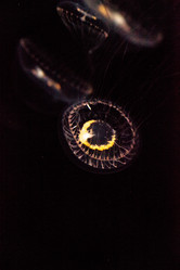 Similar image 20117780