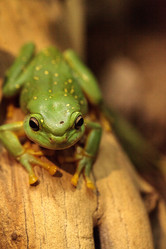 Similar image 20117874