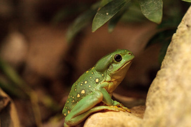 Similar image 20117879