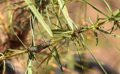 Similar image 20117911