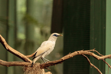 Similar image 20118110