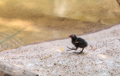 Similar image 20120327