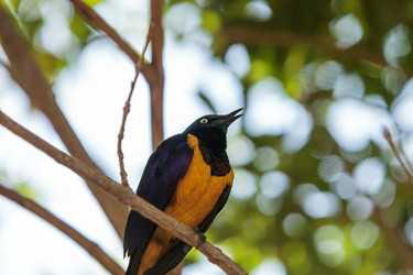 Similar image 20120324