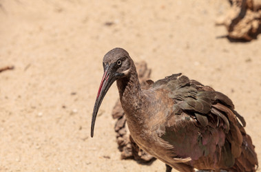 Similar image 20120333