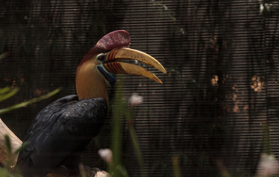 Similar image 20120372