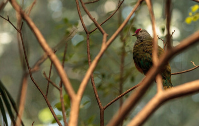 Similar image 20120385