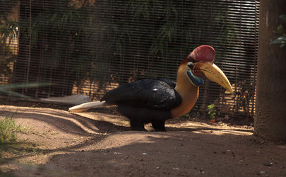 Similar image 20120390