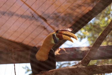 Similar image 20120418