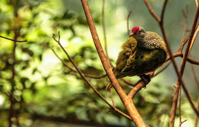 Similar image 20120426