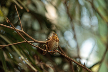 Similar image 20120397