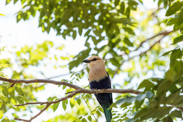 Similar image 20120669