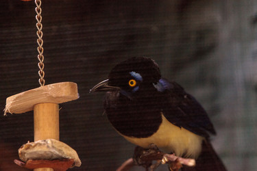 Similar image 20120683