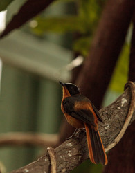 Similar image 20120576