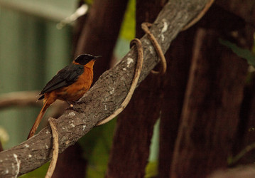 Similar image 20120589