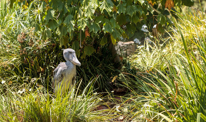 Similar image 20120601