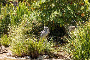 Similar image 20120664