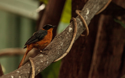 Similar image 20120689