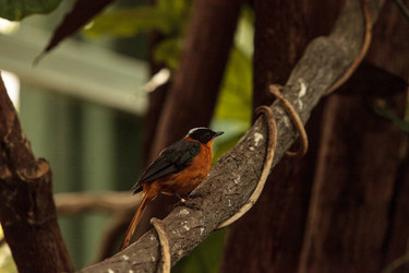 Similar image 20120690