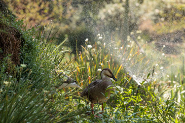 Similar image 20120624