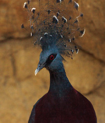 Similar image 20120666