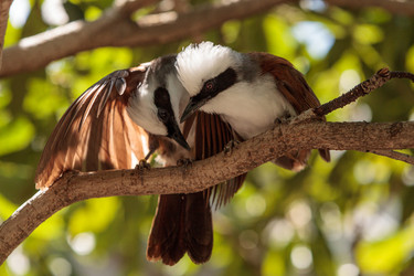 Similar image 20120646