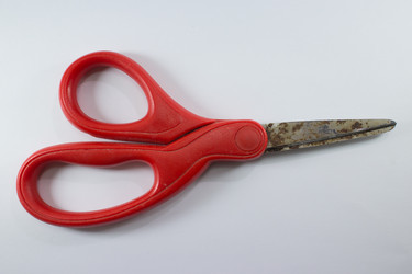 Similar image 20059331