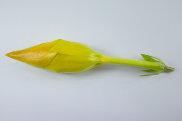 Similar image 20059174