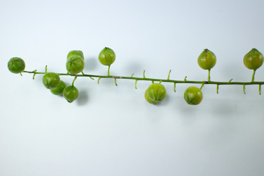 Similar image 20059177