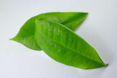 Similar image 20059179