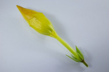 Similar image 20059180