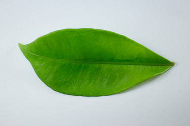 Similar image 20059181