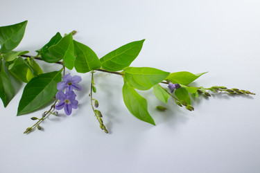 Similar image 20059183