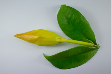 Similar image 20059184