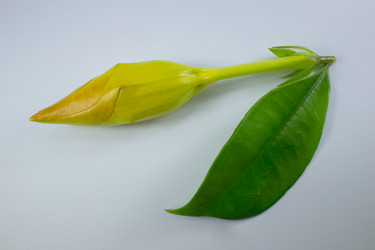 Similar image 20059185