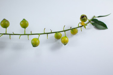 Similar image 20059187