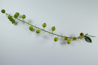 Similar image 20059188