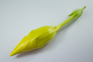 Similar image 20059190