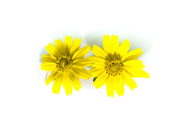 Similar image 20059355