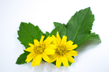 Similar image 20059216