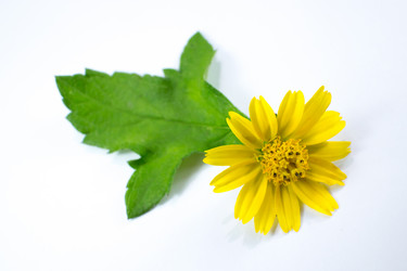 Similar image 20059217