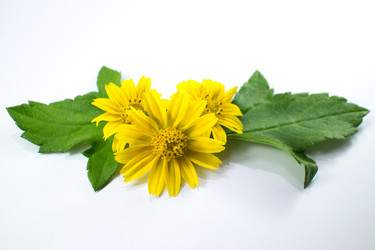 Similar image 20059218