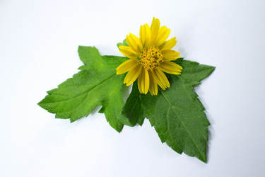 Similar image 20059219