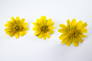 Similar image 20059220