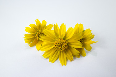 Similar image 20059221