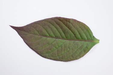 Similar image 20059224