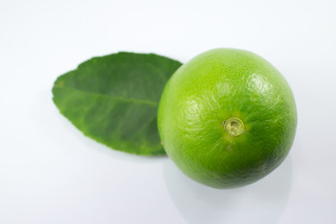 Similar image 20059239