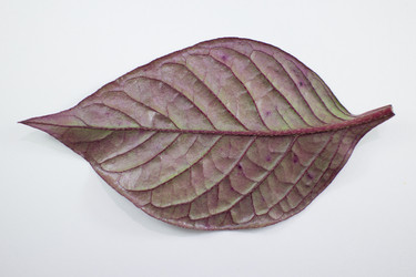 Similar image 20059241