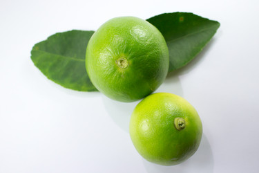 Similar image 20059243