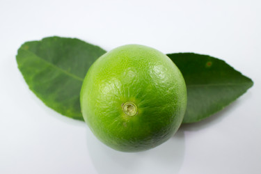 Similar image 20059258